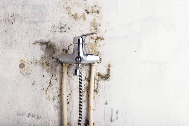 Trusted San Dimas, CA Mold Remediation Experts