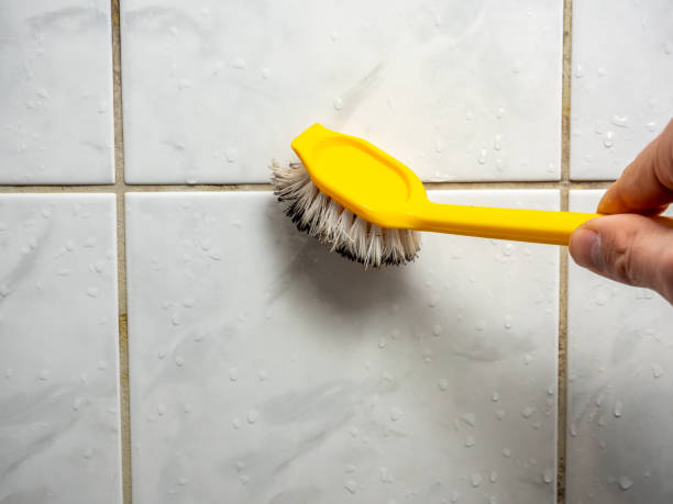 Best Mold Testing and Inspection Services in San Dimas, CA