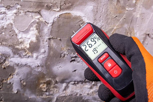 Best Bathroom Mold Remediation in San Dimas, CA