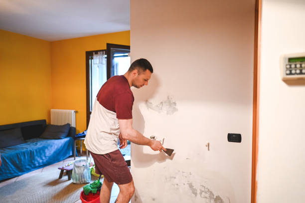 Best Post-Remediation Services in San Dimas, CA